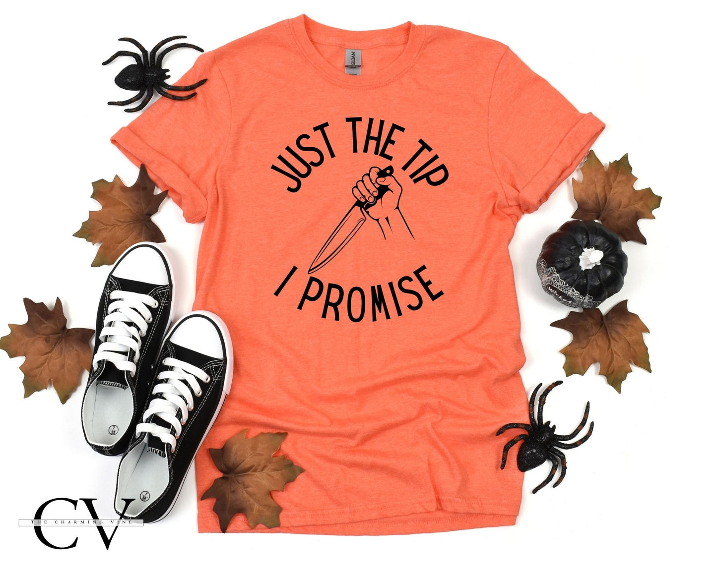 Just The Tip, I Promise Shirt